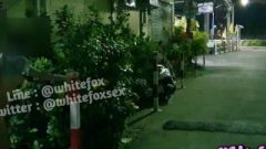 Thai Nubile Have Sex On Street – White Fox Sex